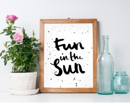 Fun İn The Sun