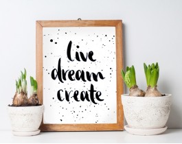 Live Dream Create