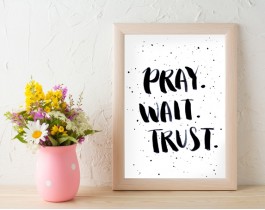 Pray Wait Trust