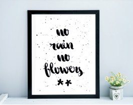 No Rain No Flowers