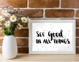 See Good In All Things