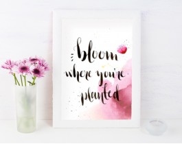 Bloom Where You're Planted